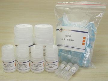 酵母质粒小量抽提试剂盒